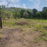 TikTok Account - https://p16-amd-va.tiktokcdn.com/tos-maliva-avt-0068/af8c59dbf2b1088b9863343cb1b85286~tplv-tiktokx-cropcenter:200:200.jpeg