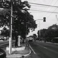 henrique_0983