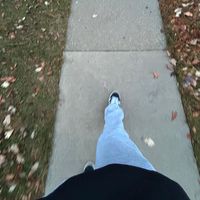 firstdownprodz11