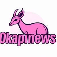 TikTok Account - okapinews2