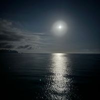 nissrine.tt