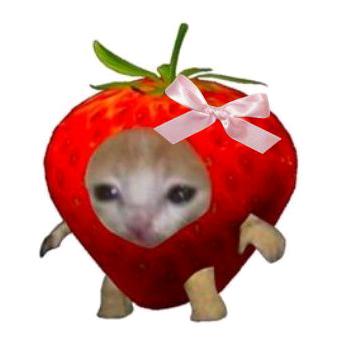 st4rsxberry.__