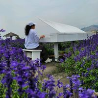 TikTok Account - https://p16-amd-va.tiktokcdn.com/tos-maliva-avt-0068/b13116e0416bc234482cb4dad6db28ec~tplv-tiktokx-cropcenter:200:200.jpeg