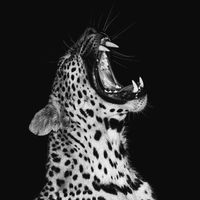 TikTok Account - https://p16-amd-va.tiktokcdn.com/tos-maliva-avt-0068/b1deefd41af8dea4f21f4caa610f9948~tplv-tiktokx-cropcenter:200:200.jpeg