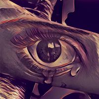 TikTok Account - https://p16-amd-va.tiktokcdn.com/tos-maliva-avt-0068/b24762603830c28f8353d601038ea2f0~tplv-tiktokx-cropcenter:200:200.jpeg