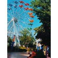 hayalprest501