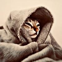 original sound - riyaney23