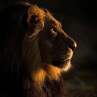 Sin Dios Somos Polvo Al Viento