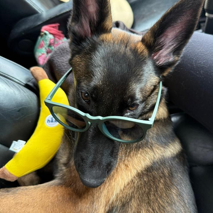 tangotboy