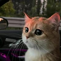 original sound - rodolfogonzalez737