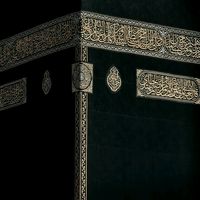 TikTok Account - https://p16-amd-va.tiktokcdn.com/tos-maliva-avt-0068/b6501a07b4324dce89a3dec4eb0eb465~tplv-tiktokx-cropcenter:200:200.jpeg