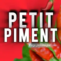 TikTok Account - petitpiment084