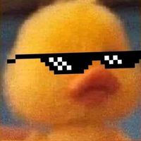 kroddfnbr