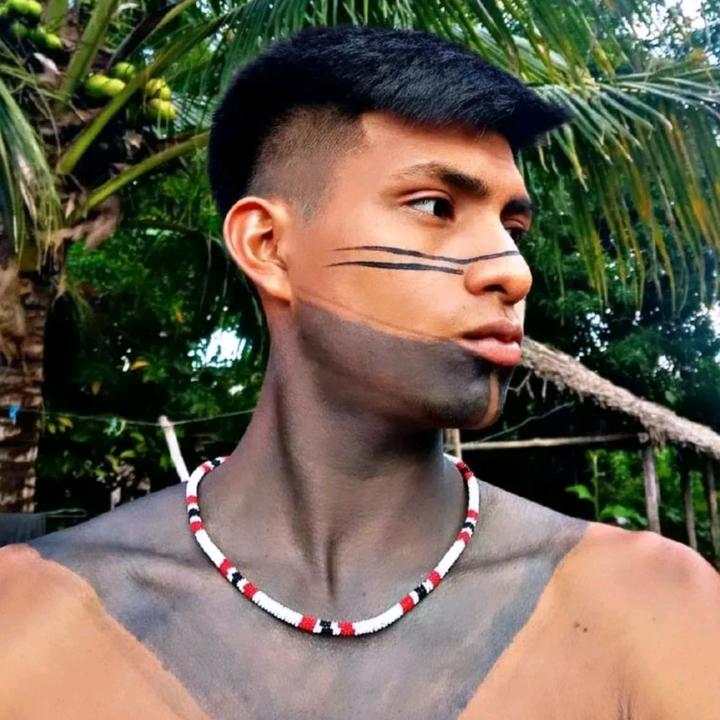 moisesguajajara20