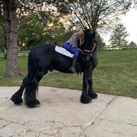 original sound - vikampaz