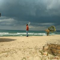 TikTok Account - https://p16-amd-va.tiktokcdn.com/tos-maliva-avt-0068/ba3736ade38ff1c5dbbeb75c4b4d180c~tplv-tiktokx-cropcenter:200:200.jpeg