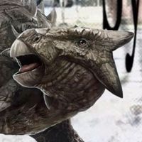 crazyvr585