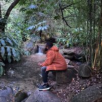 TikTok Account Photo