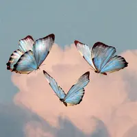 TikTok Account Photo