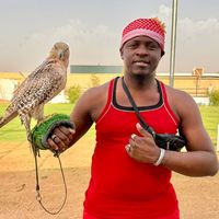 TikTok Account - https://p16-amd-va.tiktokcdn.com/tos-maliva-avt-0068/bba5b6396afe2f149c8c33434acc6579~tplv-tiktokx-cropcenter:200:200.jpeg