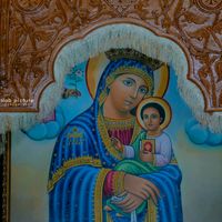 TikTok Account - https://p16-amd-va.tiktokcdn.com/tos-maliva-avt-0068/bbf5e2ca48a43e8183bd18acfb47240c~tplv-tiktokx-cropcenter:200:200.jpeg