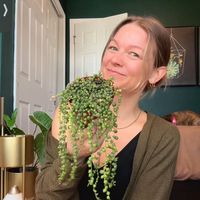 lushlivinglauren