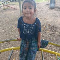 ibarra1128