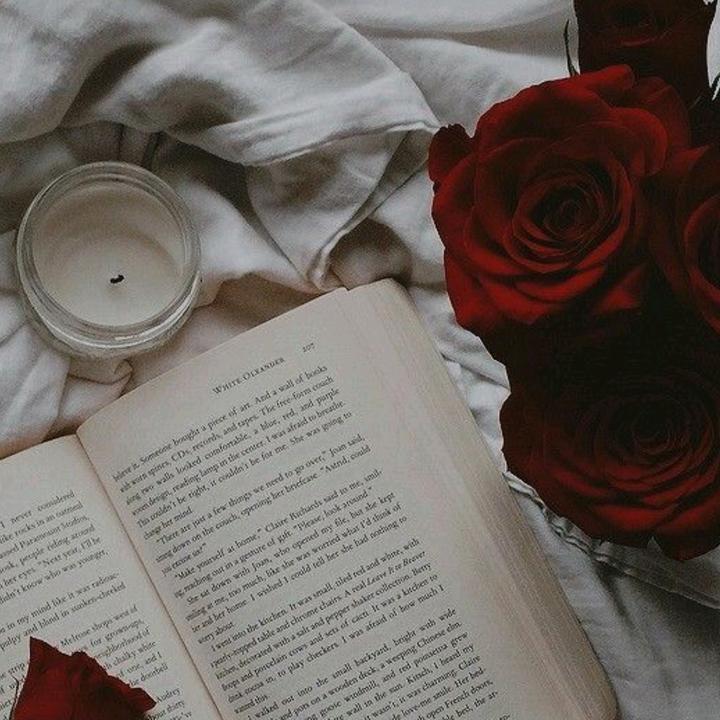 moodreader24