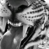 original sound - qnss.xlsm