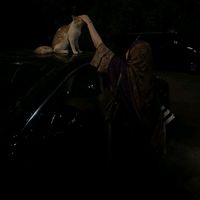 TikTok Account - https://p16-amd-va.tiktokcdn.com/tos-maliva-avt-0068/bfb124f9c3957a4cd7531c6db062fe6e~tplv-tiktokx-cropcenter:200:200.jpeg