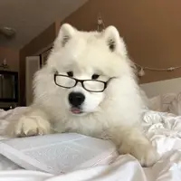 khai.vbrn