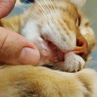 TikTok Account - https://p16-amd-va.tiktokcdn.com/tos-maliva-avt-0068/c1c20ace1810fd675de5fa4d027c2980~tplv-tiktokx-cropcenter:200:200.jpeg