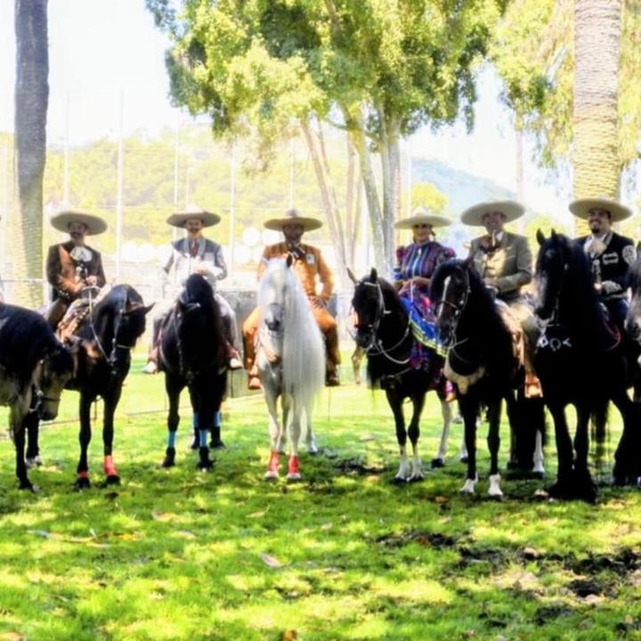 rancho.arroyo.cha