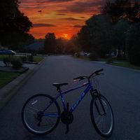 megustavr_offical