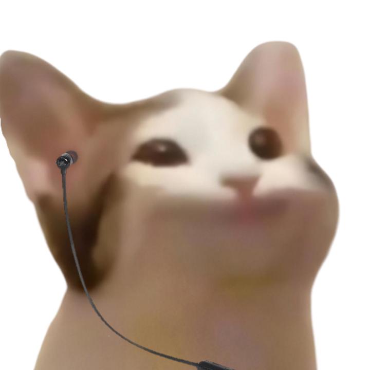 Мемы с котами видео