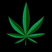 TikTok Account - https://p16-amd-va.tiktokcdn.com/tos-maliva-avt-0068/c5507774845cf73b13336a9c5462f2fd~tplv-tiktokx-cropcenter:200:200.jpeg