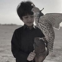 TikTok Account - https://p16-amd-va.tiktokcdn.com/tos-maliva-avt-0068/c685195d16fe27fe9c9d6e77576e793a~tplv-tiktokx-cropcenter:200:200.jpeg