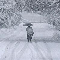 TikTok Account - https://p16-amd-va.tiktokcdn.com/tos-maliva-avt-0068/c76fcaab3e6e034f8b748e3ed5ab84b0~tplv-tiktokx-cropcenter:200:200.jpeg