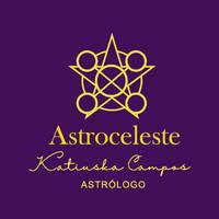 TikTok Account - astroceleste2024