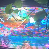 TikTok Account - https://p16-amd-va.tiktokcdn.com/tos-maliva-avt-0068/c927e283b6362555ad31c55b8cc16fb2~tplv-tiktokx-cropcenter:200:200.jpeg