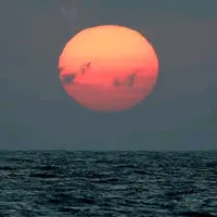 sonfanadam69