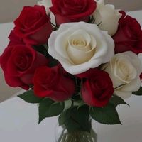 m.shazain9