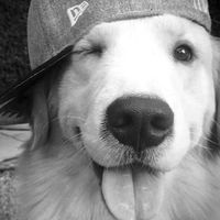 TikTok Account - https://p16-amd-va.tiktokcdn.com/tos-maliva-avt-0068/cb8129e06b90a27b22d31322ed10d89b~tplv-tiktokx-cropcenter:200:200.jpeg