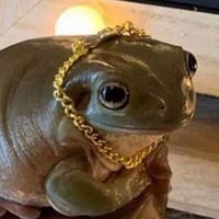 guttertoad