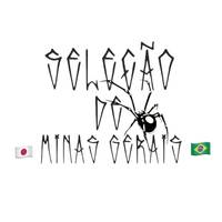 selecaodemg.oficial