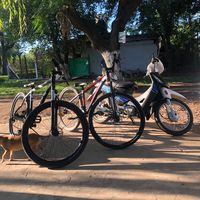 jonasobregon_noseqponer