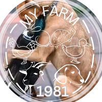 myfarm1981