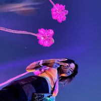 unoriginalrandomness