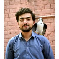 waqasbangash110