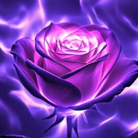 TikTok Account - https://p16-amd-va.tiktokcdn.com/tos-maliva-avt-0068/ce260086bd57bb279a3b5abe9e68fdc4~tplv-tiktokx-cropcenter:200:200.jpeg